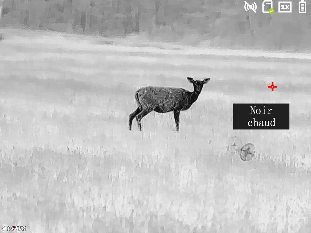 Monoculaire thermique Pixfra série Ranger Noir PIXFRA