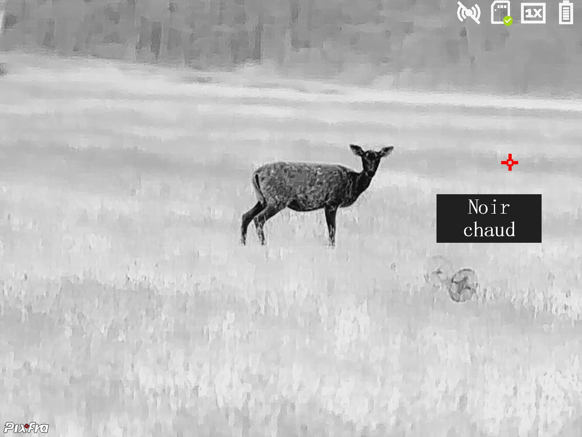 Monoculaire thermique Pixfra série Ranger Noir PIXFRA