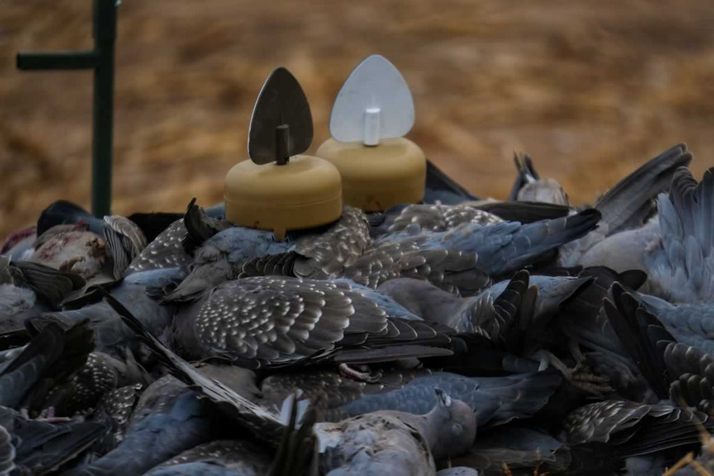 Leurre MOJO Dove A Flicker x4 MOJO