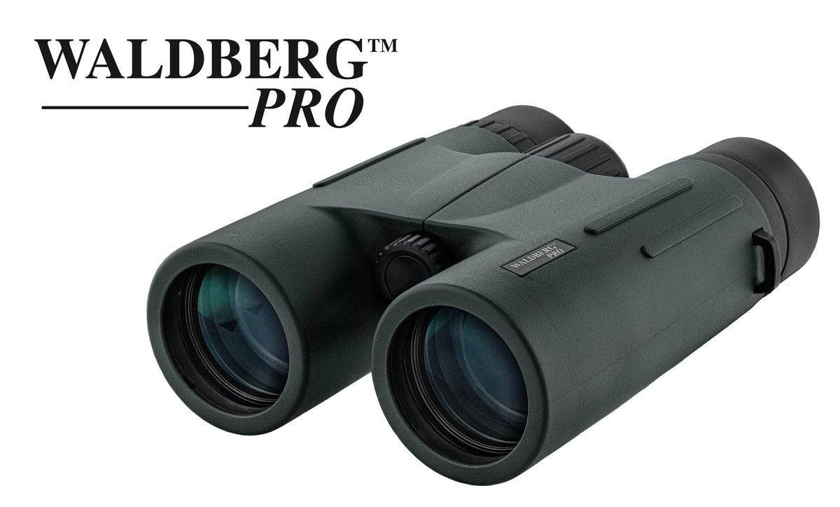 Jumelles Waldberg Pro 10 x 42 ED WALDBERG